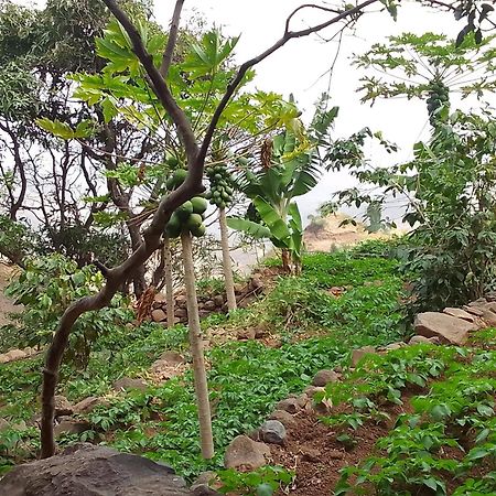 Hotel Sao Jorge Village Orgaos 外观 照片